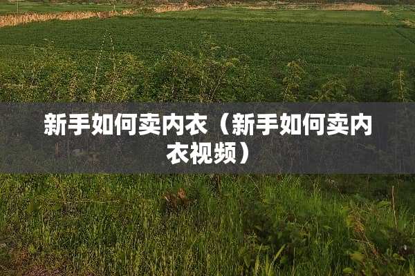 新手如何卖**（新手如何卖**视频）