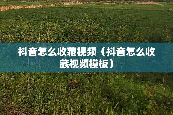 抖音怎么收藏视频(抖音怎么收藏视频模板) 抖音怎么收藏视频(抖音怎么收藏视频模板)