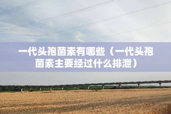 一代头孢菌素有哪些（一代头孢菌素主要经过什么排泄）