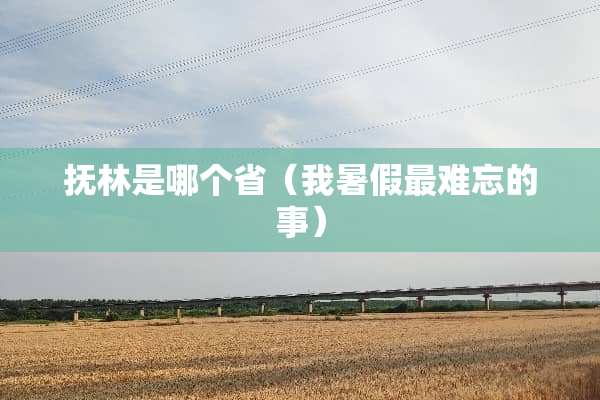 抚林是哪个省（我暑假最难忘的事）