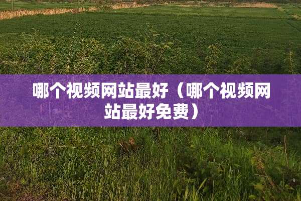 哪个视频网站最好（哪个视频网站最好免费）