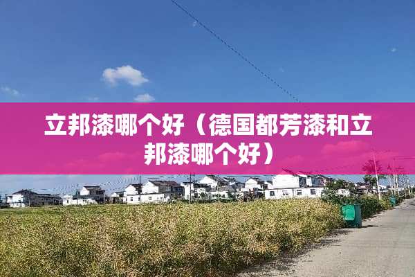 立邦漆哪个好（德国都芳漆和立邦漆哪个好）