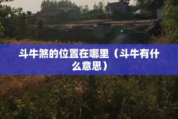 斗牛煞的位置在哪里（斗牛有什么意思）