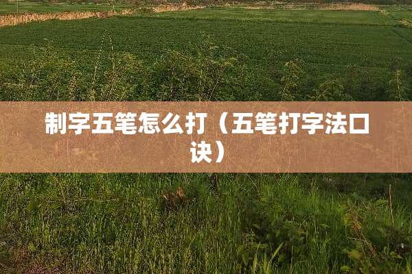制字五笔怎么打（五笔打字法口诀）