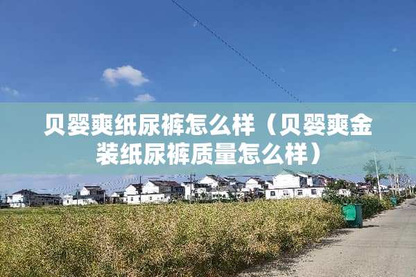 贝婴爽纸尿裤怎么样（贝婴爽金装纸尿裤质量怎么样）