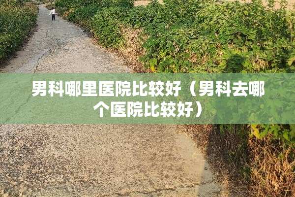 男科哪里医院比较好（男科去哪个医院比较好）