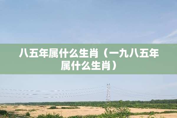 八五年属什么生肖（一九八五年属什么生肖）
