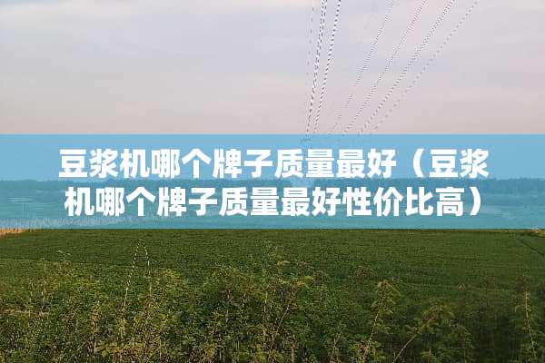豆浆机哪个牌子质量最好（豆浆机哪个牌子质量最好性价比高）