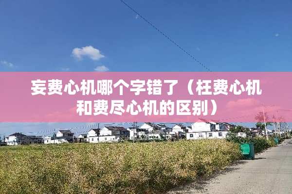 妄费心机哪个字错了（枉费心机和费尽心机的区别）