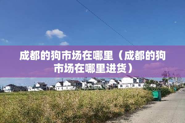 成都的狗市场在哪里（成都的狗市场在哪里进货）