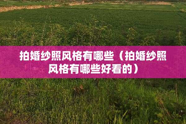 拍婚纱照风格有哪些（拍婚纱照风格有哪些好看的）