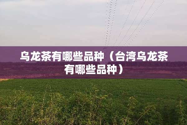 乌龙茶有哪些品种（**乌龙茶有哪些品种）