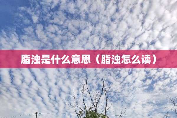 脂浊是什么意思(脂浊怎么读) 脂浊是什么意思(脂浊怎么读)