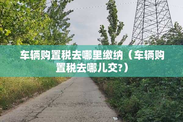 车辆购置税去哪里缴纳（车辆购置税去哪儿交?）