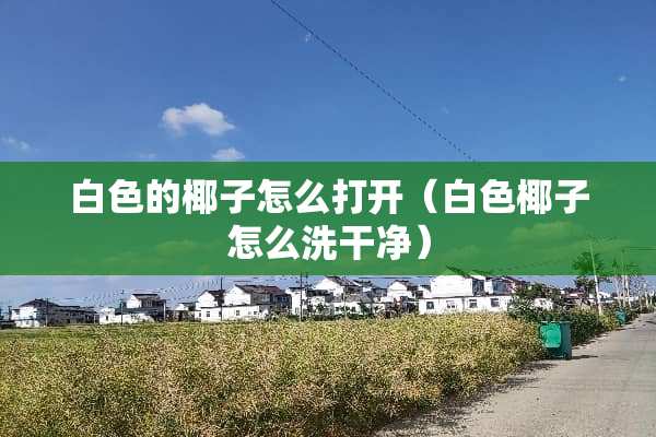 白色的椰子怎么打开(白色椰子怎么洗干净) 白色的椰子怎么打开(白色椰子怎么洗干净)