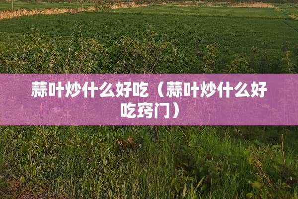 蒜叶炒什么好吃（蒜叶炒什么好吃窍门）