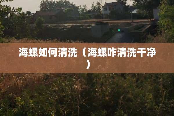 海螺如何清洗（海螺咋清洗干净）