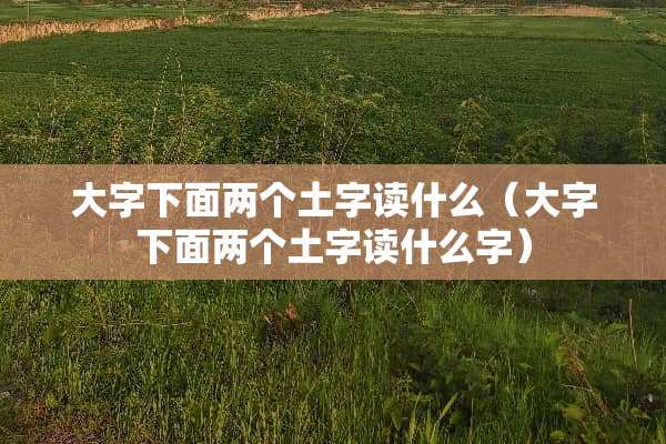 大字下面两个土字读什么（大字下面两个土字读什么字）