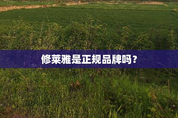 修莱雅是正规品牌吗？