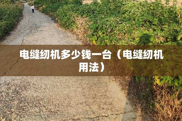 电缝纫机多少钱一台(电缝纫机用法) 电缝纫机多少钱一台(电缝纫机用法)