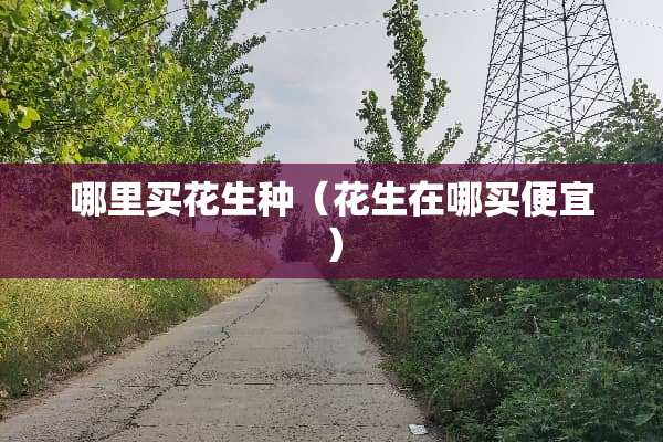 哪里买花生种（花生在哪买便宜）