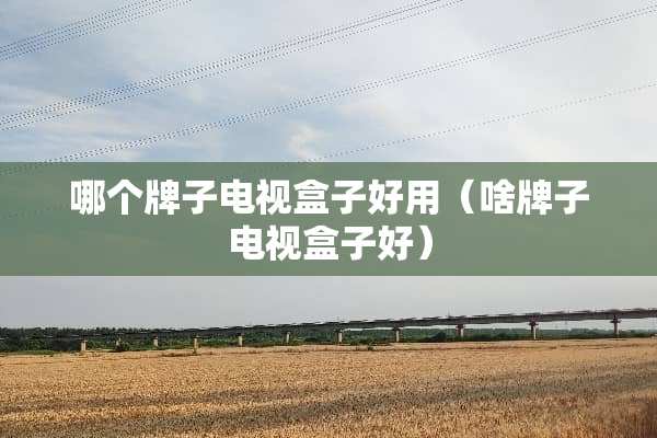 哪个牌子电视盒子好用（啥牌子电视盒子好）