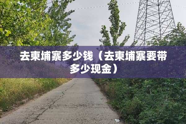 去柬埔寨多少钱（去柬埔寨要带多少现金）