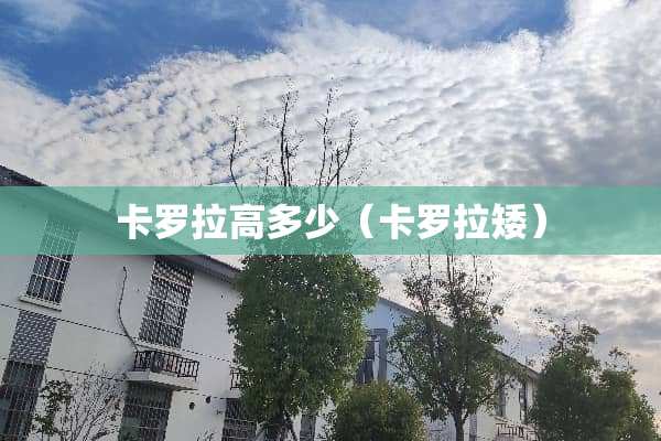 卡罗拉高多少（卡罗拉矮）