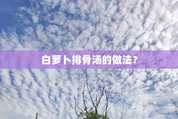 白萝卜排骨汤的做法？