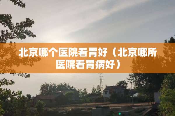 北京哪个医院看胃好（北京哪所医院看胃病好）