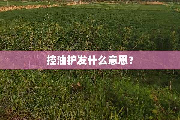 控油护发什么意思？