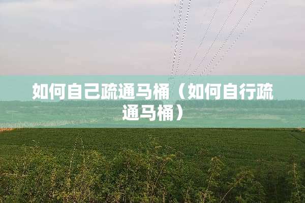 如何自己疏通马桶（如何自行疏通马桶）