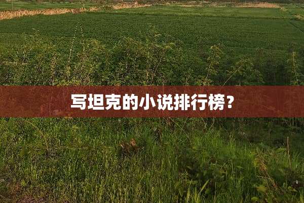 写坦克的小说排行榜？