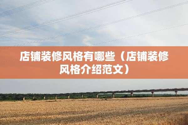 店铺装修风格有哪些（店铺装修风格介绍范文）