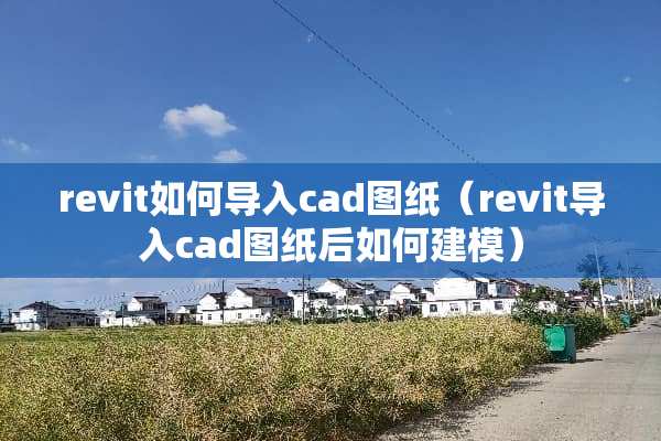 revit如何导入cad图纸（revit导入cad图纸后如何建模）