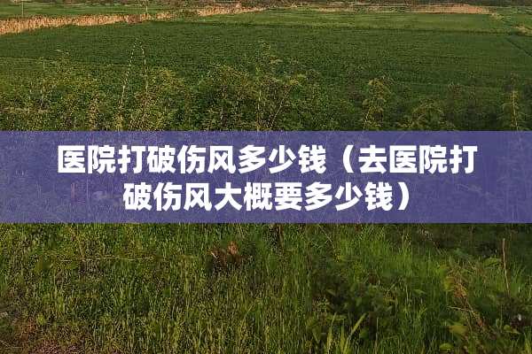 医院打破伤风多少钱（去医院打破伤风大概要多少钱）