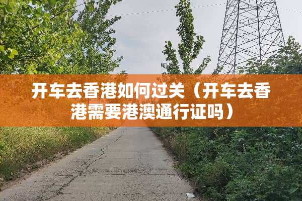 开车去香港如何过关(开车去香港需要港澳通行证吗)