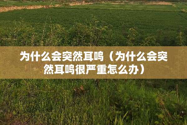 为什么会突然耳鸣（为什么会突然耳鸣很严重怎么办）
