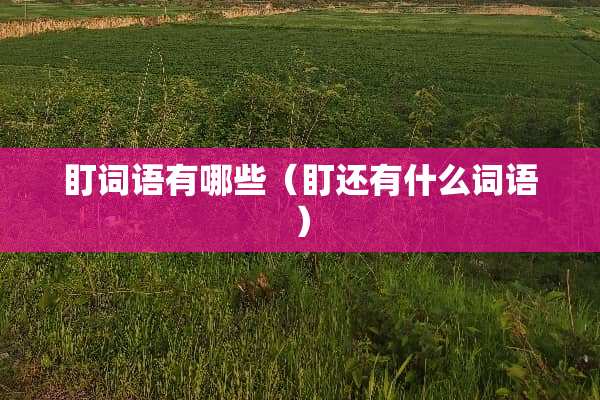 盯词语有哪些（盯还有什么词语）