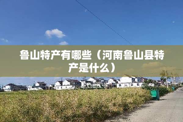 鲁山特产有哪些（河南鲁山县特产是什么）