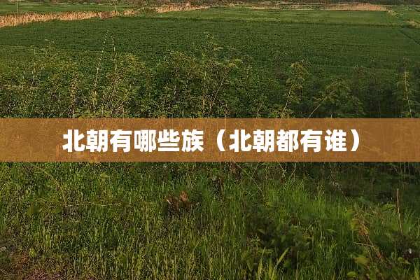北朝有哪些族（北朝都有谁）