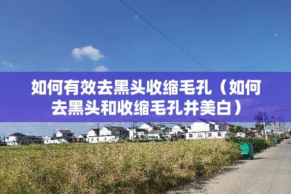 如何有效去黑头收缩毛孔（如何去黑头和收缩毛孔并美白）