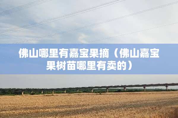 佛山哪里有嘉宝果摘（佛山嘉宝果树苗哪里有卖的）