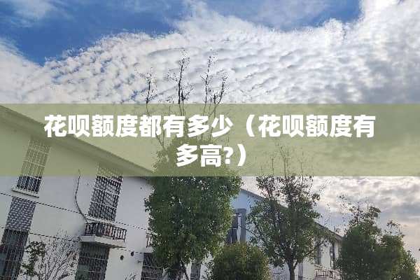 花呗额度都有多少（花呗额度有多高?）