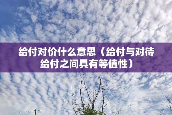 给付对价什么意思（给付与对待给付之间具有等值性）
