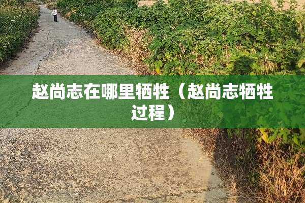 赵尚志在哪里牺牲（赵尚志牺牲过程）