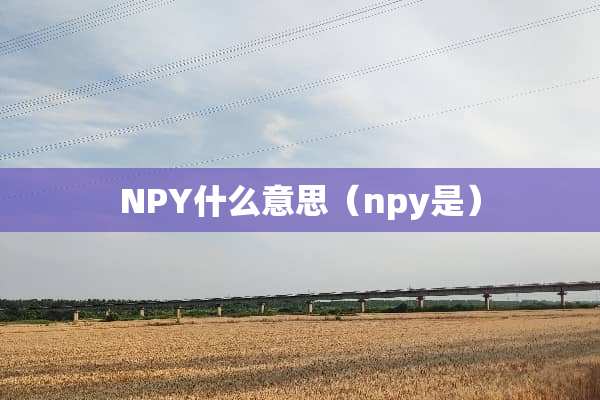 NPY什么意思（npy是）