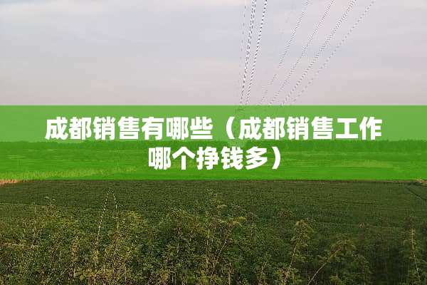 成都销售有哪些（成都销售工作哪个挣钱多）