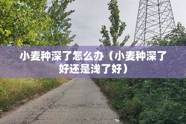 小麦种深了怎么办（小麦种深了好还是浅了好）
