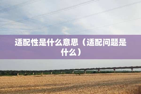适配性是什么意思（适配问题是什么）